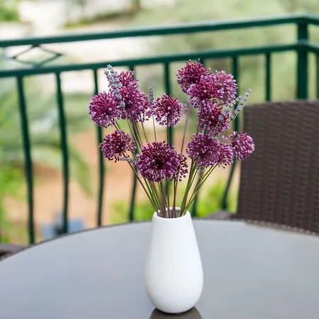 Appartement Stermasi *